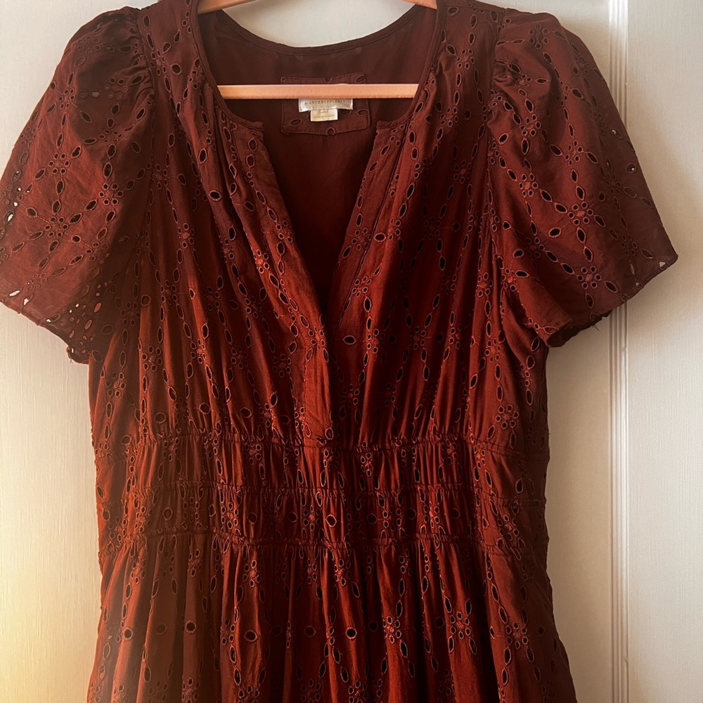 The iconic anthro somerset maxi dress in brown eyelet